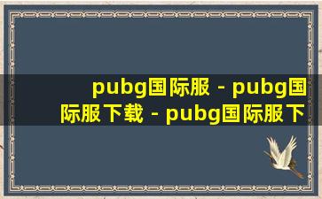 pubg国际服 - pubg国际服下载 - pubg国际服下载安卓